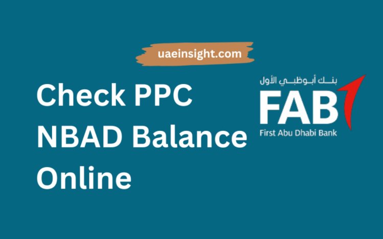 How to Check Your Account with PPC NBAD Balance Online in Minutes