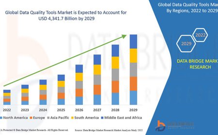 Navigating the Surge: Exploring the Growth and Trends in the Data Quality Tools Market