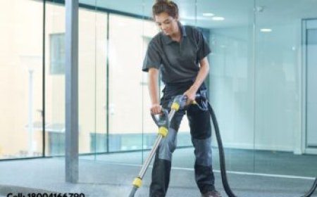 Affordable Carpet Cleaning Services That Deliver Results
