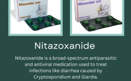 Nizonide Dosage Guide: Adults vs. Children