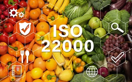 Safe Food, Stronger Business: The Power of ISO 22000 Certification