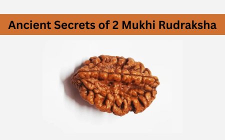 The Ancient Secrets of 2 Mukhi Rudraksha: A Guide for Beginners