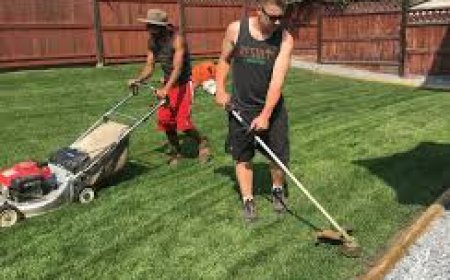 Trusted Outdoor Restoration Services in Your Area