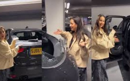 Punjabi Singer Sunanda Sharma's Car Vandalized in London: A Shocking Incident