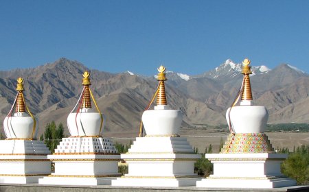 Choglamsar Leh: A Hidden Gem in Ladakh's Heart