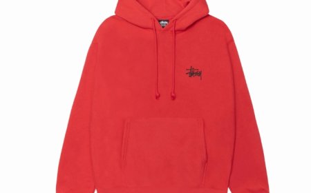 Top-Rated Stussy Shop Hoodie Styles