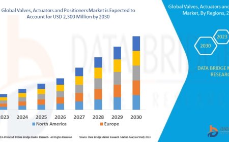 Valves, Actuators and Positioners Market : Size, Share, and Growth Opportunities 2025 –2032