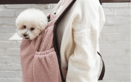 Choosing the Right Dog Carriers for Small Dogs: A Complete Guide