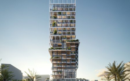 How an Architectural Design Company Shapes the Future of Residential Homes