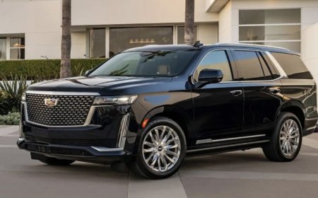 Top Long Island Limo Service | LI Access Limo