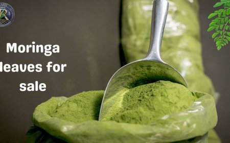 The Secret Behind the Popularity of Moringa Leaves for Sale