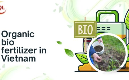 The Growing Demand for Organic Bio Fertilizer in Vietnam: What Farmers Should Know