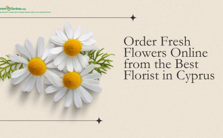 Order Fresh Flowers Online from the Best Florist in Cyprus