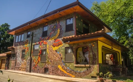 Top Fun Things to Do in Sacramento Today