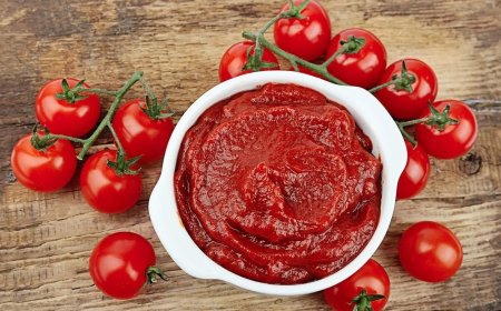 Tomato Paste Manufacturing Plant Project Report 2025: infrastructure Necessities, Requirements and Cost