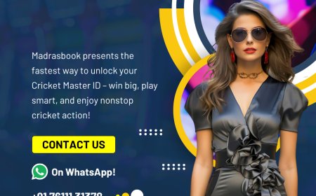 Laser 247 Login – Secure Access to Online Betting | Madrasbook