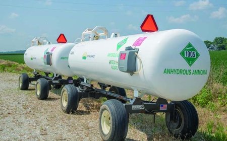 Anhydrous Ammonia Manufacturing Plant Report 2025: Industry Trends and Raw Materials Requirement