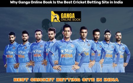Why Ganga Online Book Is the Best Cricket Betting Site in India