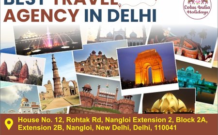 Planning a Trip? Here’s Why Lotus India Holidays Is the Travel Agency in Delhi You Can Rely On