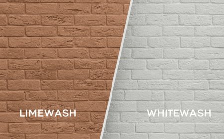 House Painting Miami: Smart Color Choices That Keep Your Home Cool