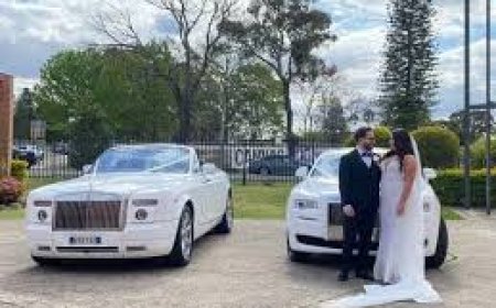 Journey Through Time: Castles and History Tours