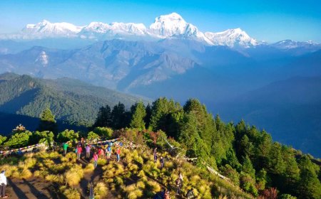 You Need To Pack This Gift For Ghorepani Trekking