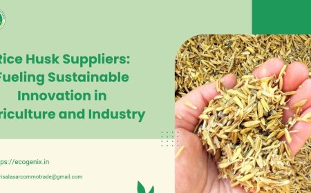 Rice Husk Suppliers: Fueling Sustainable Innovation in Agriculture and Industry