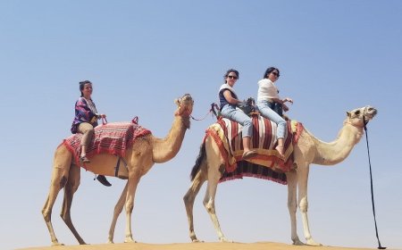How Safe Are Desert Safari Private Tours? What You Should Know