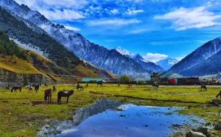 Experience the Natural Beauty of Pakistan: A Complete Adventure Guide