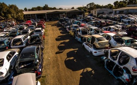 Inside the Yard: Tales of Tools, Time, and Twisted Metal