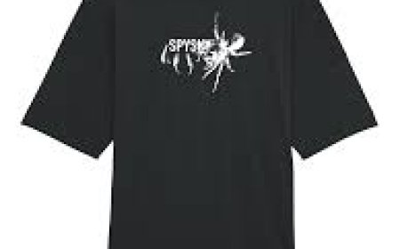 Class of 2025 Spider T Shirts Senior Year Must-Have Gear