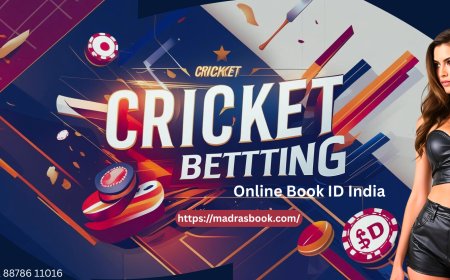 Looking for the Best Online Cricket ID Free App? Here’s Our Pick