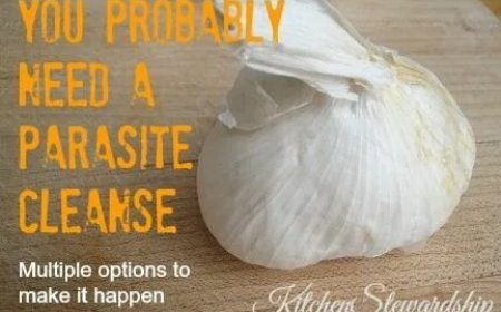 When to Start Parasite Cleanse Full Moon Protocol