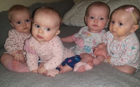 The Essential Guide for New Mothers: Breastfeeding Tips and Gear