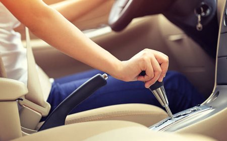 Mastering the Road: Choosing the Right Driving School in the Sugar Land Area