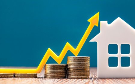 House Appreciation Rates: What to Expect Year Over Year