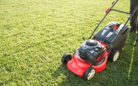 How Smart Landscaping Improves Land Health in South Auckland