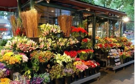 Popular Wedding Flowers Toronto Brides Are Choosing