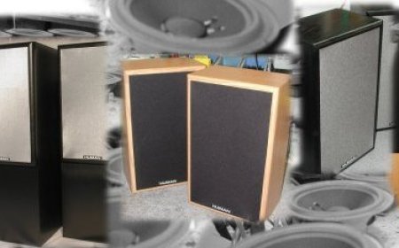 Subwoofer Myths Busted: What Really Matters in Deep Bass Performance