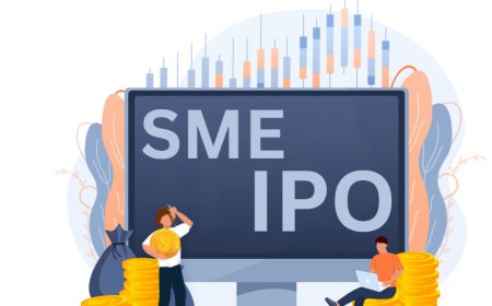 Top 5 Things to Know Before Choosing an SME IPO Consultant