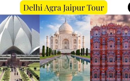 Delhi Agra Jaipur Tour Packages: Your Gateway to India's Wonders