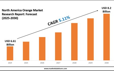 North America Orange Market Pricing Trends & Cost Overview
