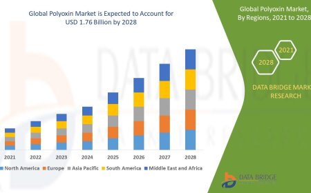 Growing Demand for Bio-Based Crop Protection: Exploring the Polyoxin Market