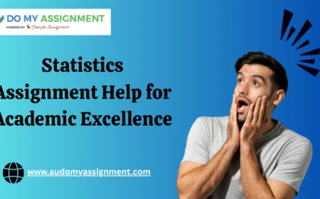 Statistics Assignment Help for Academic Excellence