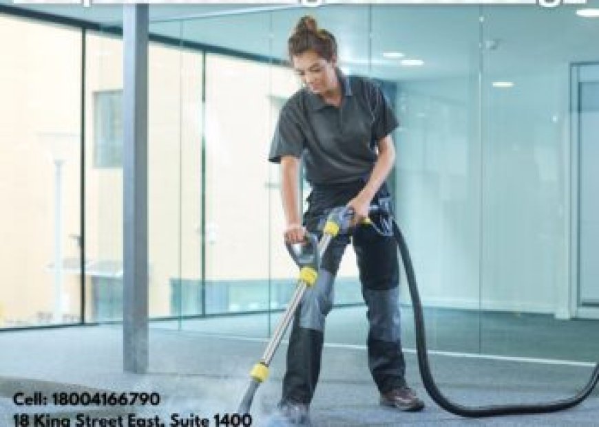 Affordable Carpet Cleaning Services That Deliver Results