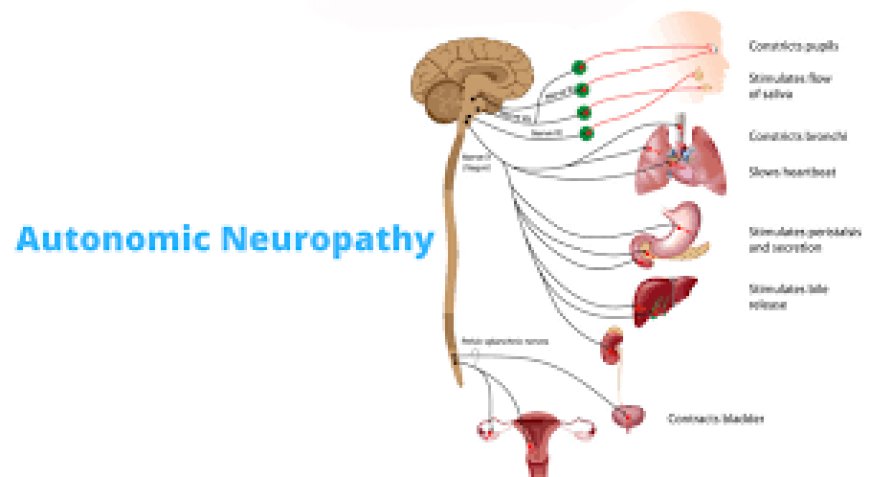 How Tapaday 200mg Can Help Ease Pain of Autonomic Neuropathy