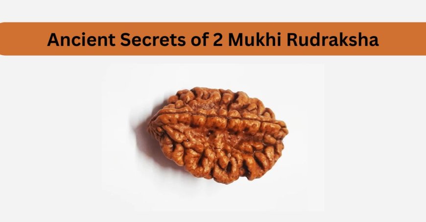 The Ancient Secrets of 2 Mukhi Rudraksha: A Guide for Beginners