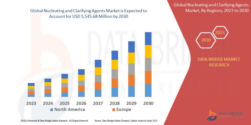 Nucleating and Clarifying Agents Market Growth Forecast with Competitive Analysis 2030
