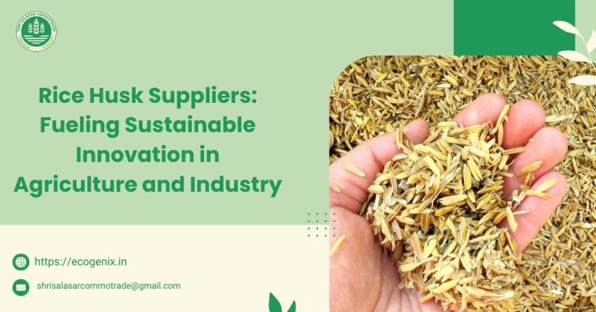 Rice Husk Suppliers: Fueling Sustainable Innovation in Agriculture and Industry