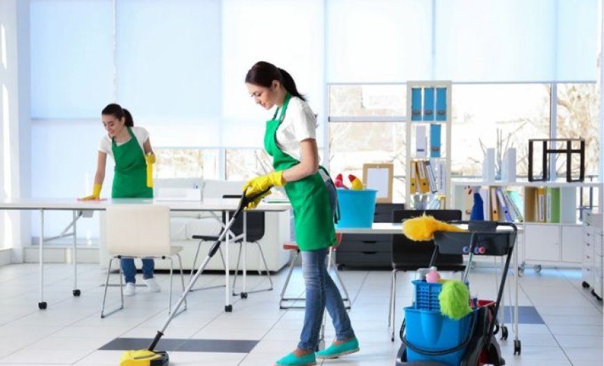 Get Spotless Results with Best House Cleaning Services in Massachusetts
